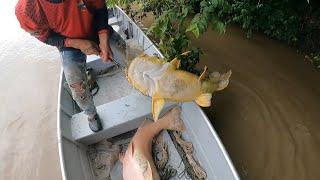 Pescamos dos peces monstruo y los regalamos a nuestros amigos esto es lo que hacemos con la pesca