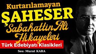 Kurtarılamayan Şaheser - Sabahattin Ali Hikayeleri - Türk Edebiyatı Klasikleri Sesli Kitap