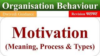 motivation meaning types of motivation process of motivation organisational behaviour motivation