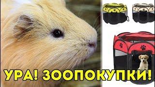 СУПЕР ЗООПОКУПКА  РАСПАКОВКА ЗАКАЗА С САЙТА NEWCHIC  SvinkiShow