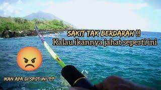 Jahat Sekali Ikan di Spot Ini  Bisa Bikin Sakit Tak Berdarah