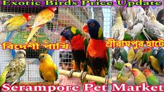 বিদেশী পাখি শ্রীরামপুর হাটে   Serampore Pakhir Haat  Shirampur Bird Market