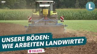 Der große Vergleich Regenerative Landwirtschaft vs. Grubbern  WDR Lokalzeit Land.Schafft.