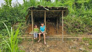 Orphan boy and girl go to the forest to get bamboo to make a new home Lý Bằng