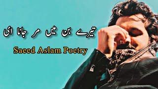 Tere Bin Main Mar Jana Ee  Saeed Aslam Poetry Punjabi Poetry  Punjabi Shayari Whatsapp Status