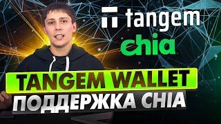 ОБЗОР TANGEM WALLET. ПЕРВЫЙ КОШЕЛЕК С ПОДДЕРЖКОЙ КРИПТОВАЛЮТЫ CHIA XCH. ГАЙД КАК ПОЛЬЗОВАТЬСЯ