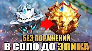 КАК АПНУТЬ ЭПИКА С ГРАНДМАСТЕРА В СОЛО БЕЗ ПОРАЖЕНИЙ MOBILE LEGENDS  ПУТЬ СО ДНА ДО МИФИКА  млбб