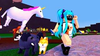 Как Получить Животных в Чокнутых ВолшебникахWacky Wizards PETSRoblox 1 часть