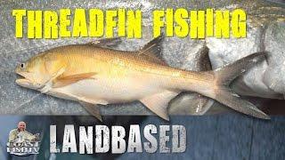 BIG Threadfin fishing SECRETS on land  CoastfishTV Ep7