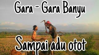 PETANI RIBUT GARA-GARA BANYU #MLEKOKI   Film Ngapak Banjarnegara