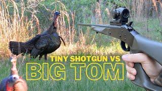 .410 Turkey Hunt Takes Down Big Osceola