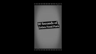 20 Seconds of Zebra Food Porn #Shorts