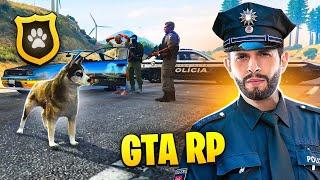 VIREI UM CÃO FAREJADOR E TROLEI GERAL NO GTA RP