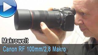 Canon RF 100mm28 Makro IS USM im Test neue SA-FunktionFokusstacking.