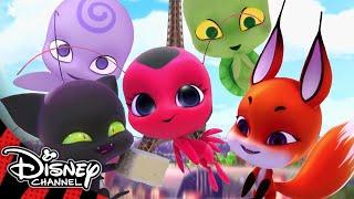 Miraculous Ladybug  Meet the Kwamis  Disney Channel UK