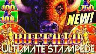 NEW SLOT BUFFALO ULTIMATE STAMPEDE  GET THAT BONUS Slot Machine ARISTOCRAT GAMING