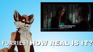 Furry Author Rates 10 Furry Moments in Movies and TV