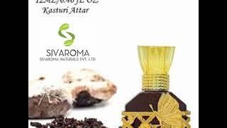 Sivaroma Kasturi Hina Attar