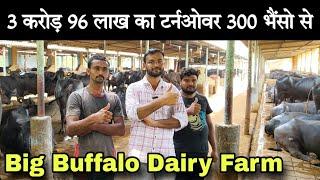 3 करोड़ 96 लाख का टर्नओवर 300 भैंसो से  Big Buffalo Dairy Farm Gujarat