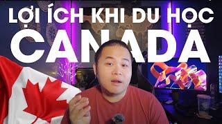 LỢI ÍCH KHI DU HỌC CANADA - TRẢI NGHIỆM THỰC TẾ SAU 15 NĂM TẠI CANADA. HỌC XONG VỀ HAY Ở?