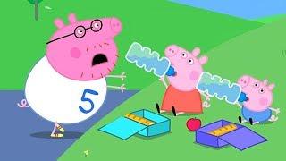 Peppa Wutz  Papa Wutz und der Spendenlauf  Peppa Pig Deutsch Neue Folgen  Cartoons für Kinder