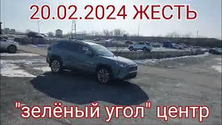 АВТОРЫНОК ЗЕЛЁНЫЙ УГОЛ СУДНЫЙ ДЕНЬ 20.02.2024 