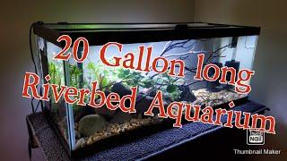 New Tank 20 Gallon Long Aquascape