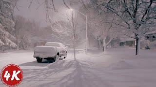 Night Walk in Extreme Winter SNOW STORM  Southern Ontario Canada Jan 2024  4K