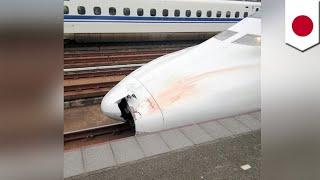 Bullet train accident Parts found in nose of train - TomoNews