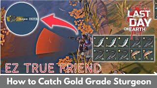 EZ Trick to Catch Golden Sturgeon  Last Day On Earth Survival