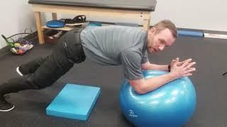 Core Exercise for Low Back Pain  Stir the Pot  Chesterfield Chiropractor