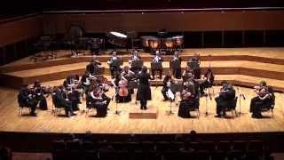 Haydn No.45 - Veda Senfonisi  Farewell Symphony - Part IV Olten Filarmoni - 07.01.2015