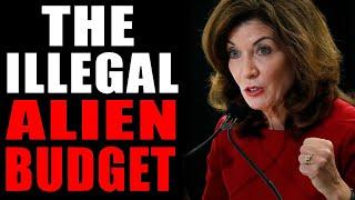 The Illegal Alien Budget