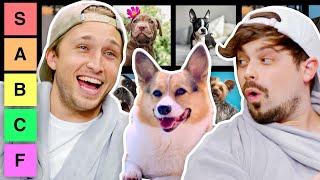 We Rate Dogs for 17 Minutes Straight Tier List