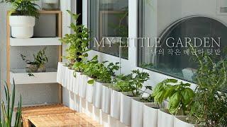 SUB 아파트 좁은 베란다 인테리어 미니 텃밭 만들기 ㅣ My Little Vegetable Garden