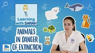 Endangered Species Animals in Danger of Extinction   LEARNING WITH SARAH  EDUCATIONAL VIDEOS