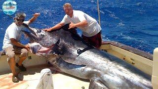 Catching Giant Swordfish in The Sea - Amazing Fishing Skills Of Fisherman