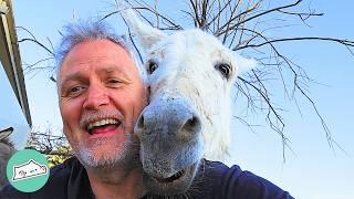 Man Talks His Heart Out To Donkeys And They Talk Back  Cuddle Buddies