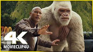 Rampage 2018 - Giant Gorilla Attack Scene  MᴏᴠɪᴇCʟɪᴘ4ᴜ -〚HD〛