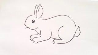 how to draw rabbit drawing easy step by step@aaravdrawingcreative1112