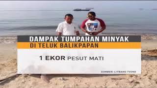 Dampak Tumpahan Minyak di Teluk Balikpapan