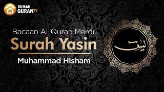 Surah Yasin يس - Mohammed Hesham  Bacaan Al Quran Merdu