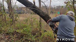 Remington electric chainsaw. How to service it and demonstration.