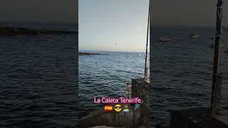 Early evening in La Caleta Tenerife