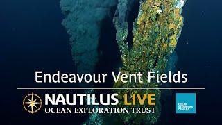 Highlights from Endeavour Vent Fields 2024  Nautilus Live