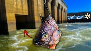 Fishing for Spillway GIANTS w $100 WALMART Budget