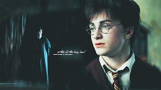 ◄ harry potter x tom riddle.  in this for the long haul