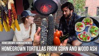 Harvesting Heirloom Corn & Making Tortillas Wood-ash Nixtamalization