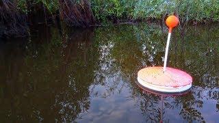 Carp fishing on mugs and lateral nods at night