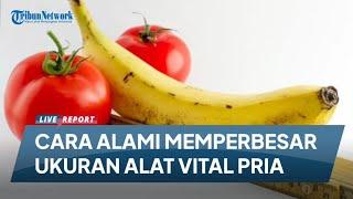 6 CARA ALAMI MEMPERBESAR UKURAN ALAT VITAL PRIA